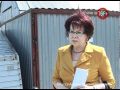 Снос ракушек