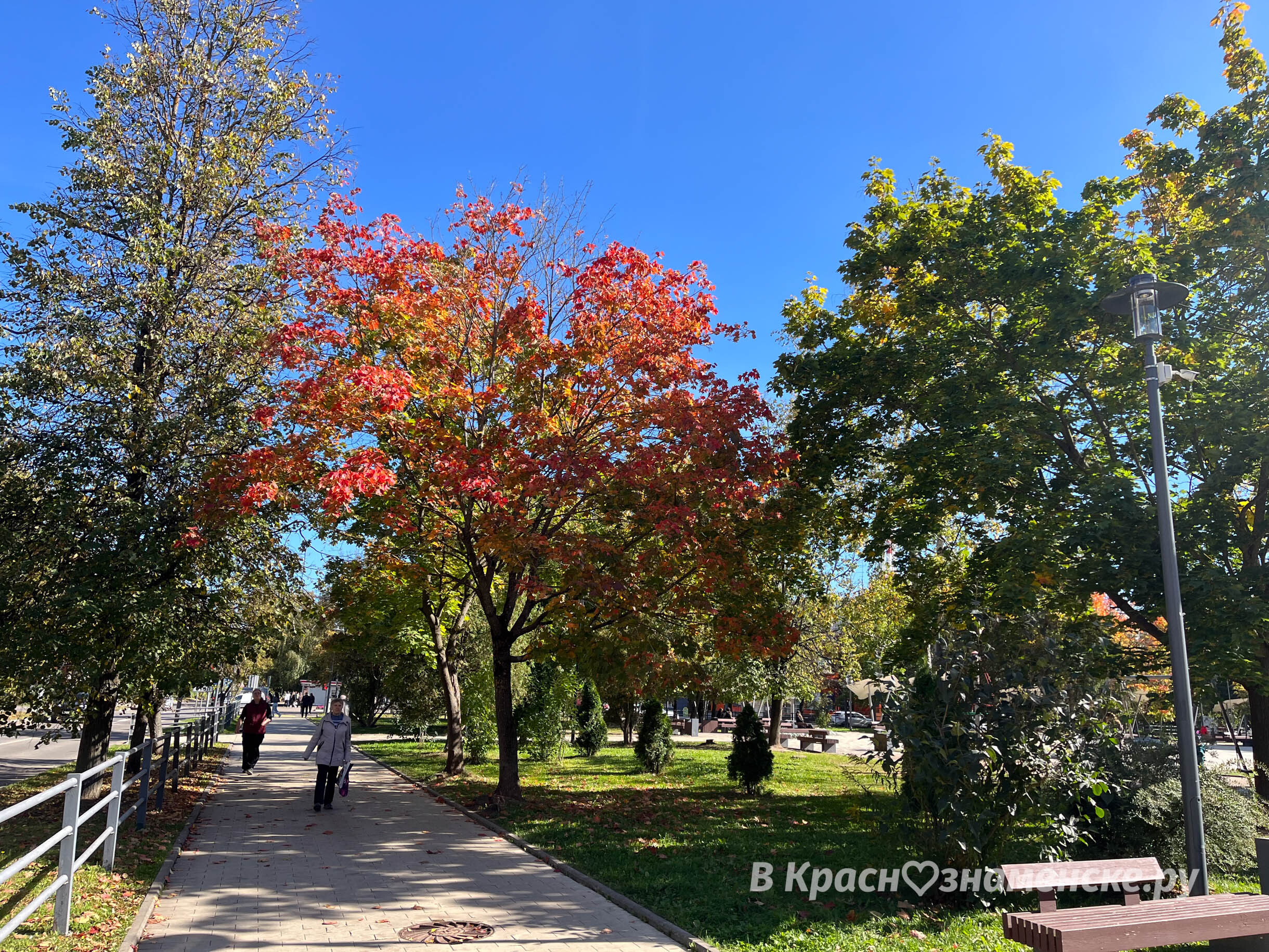 Прогулка по осенним улицам города — Краснознаменск