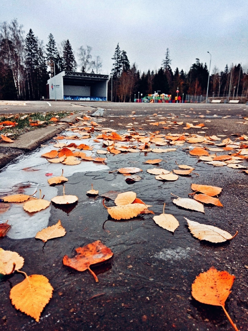 Пасмурный Краснознаменск