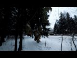 Городской парк