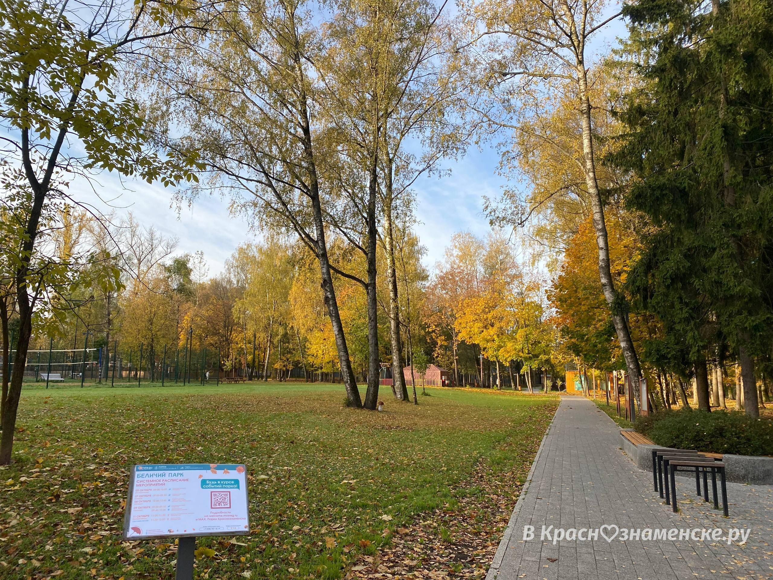 Прогулка по Беличьему парку — Краснознаменск