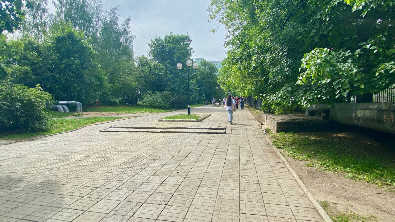 Вырубка деревьев на Комсомольском бульваре не запланирована