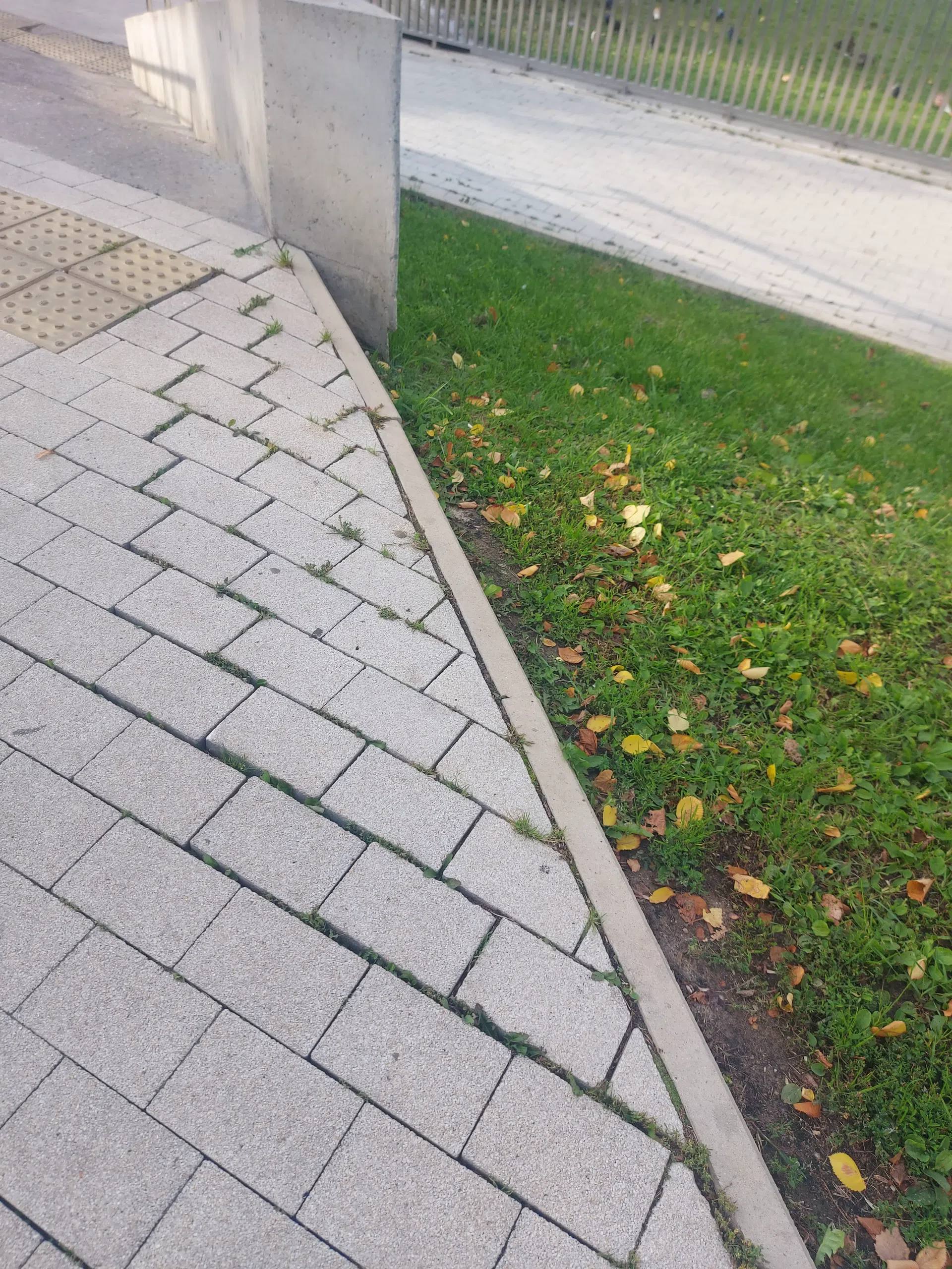 На Городском озере заметно обветшала брусчатка и ограждение — Краснознаменск