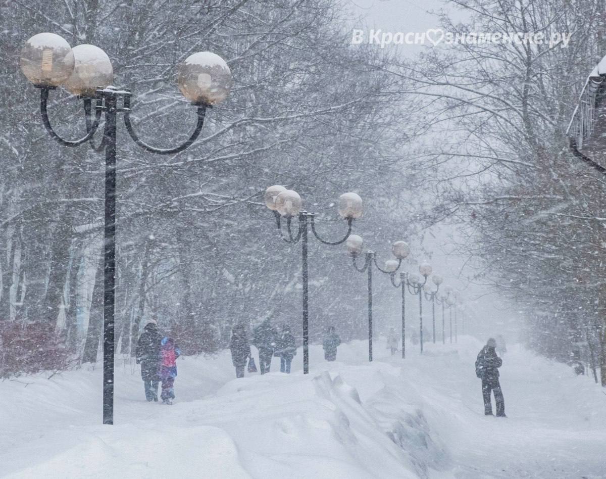 Прогулка по Комсомольскому бульвару в течение года