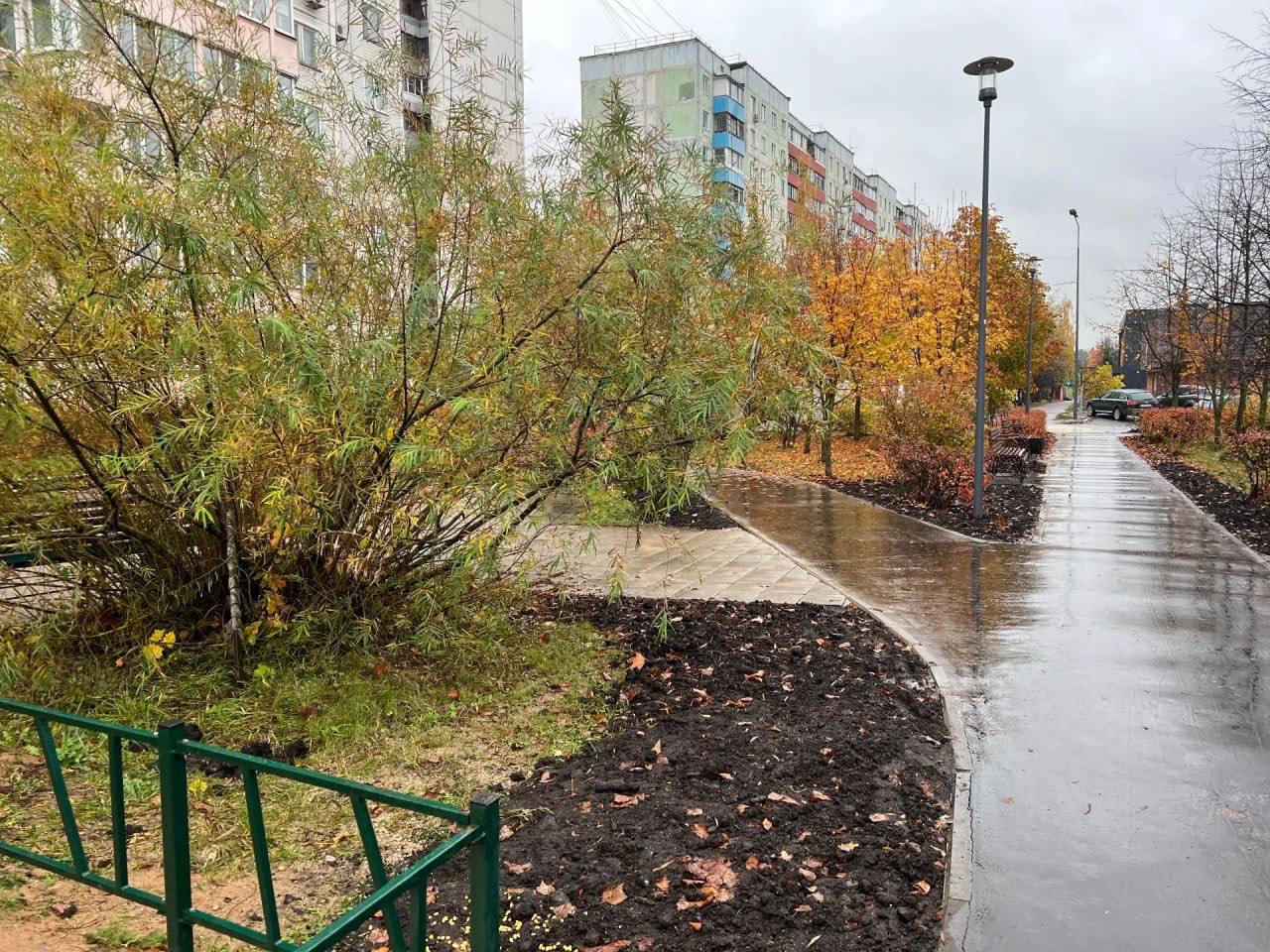 Костровая зона в парке Краснознаменска превратилась в «лобное место» притяжения для полусотни подростков