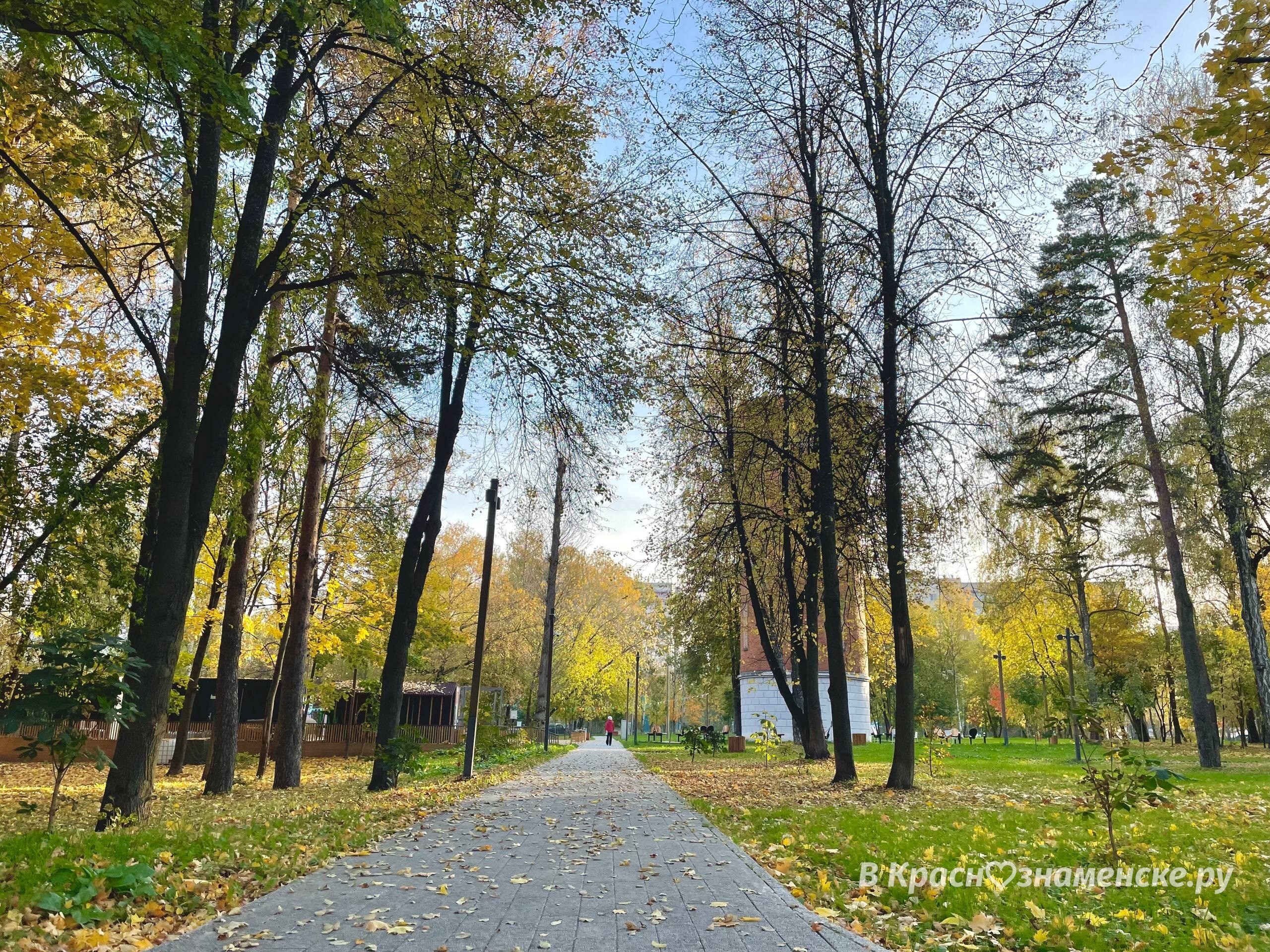 Прогулка по Беличьему парку — Краснознаменск