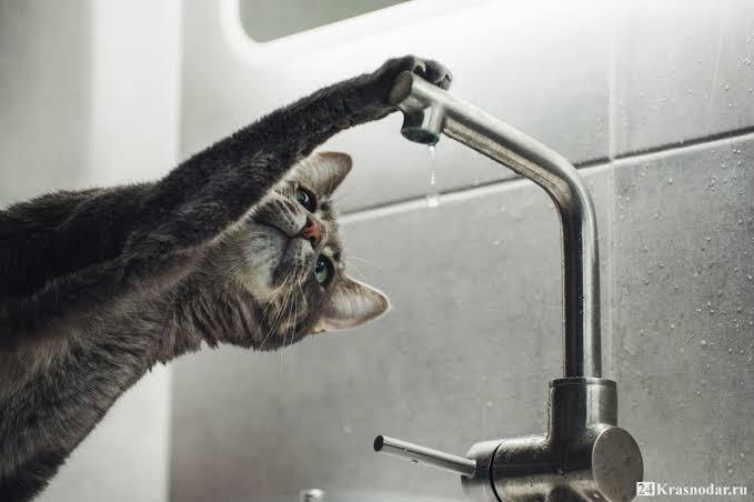 С субботы сидим без холодной воды