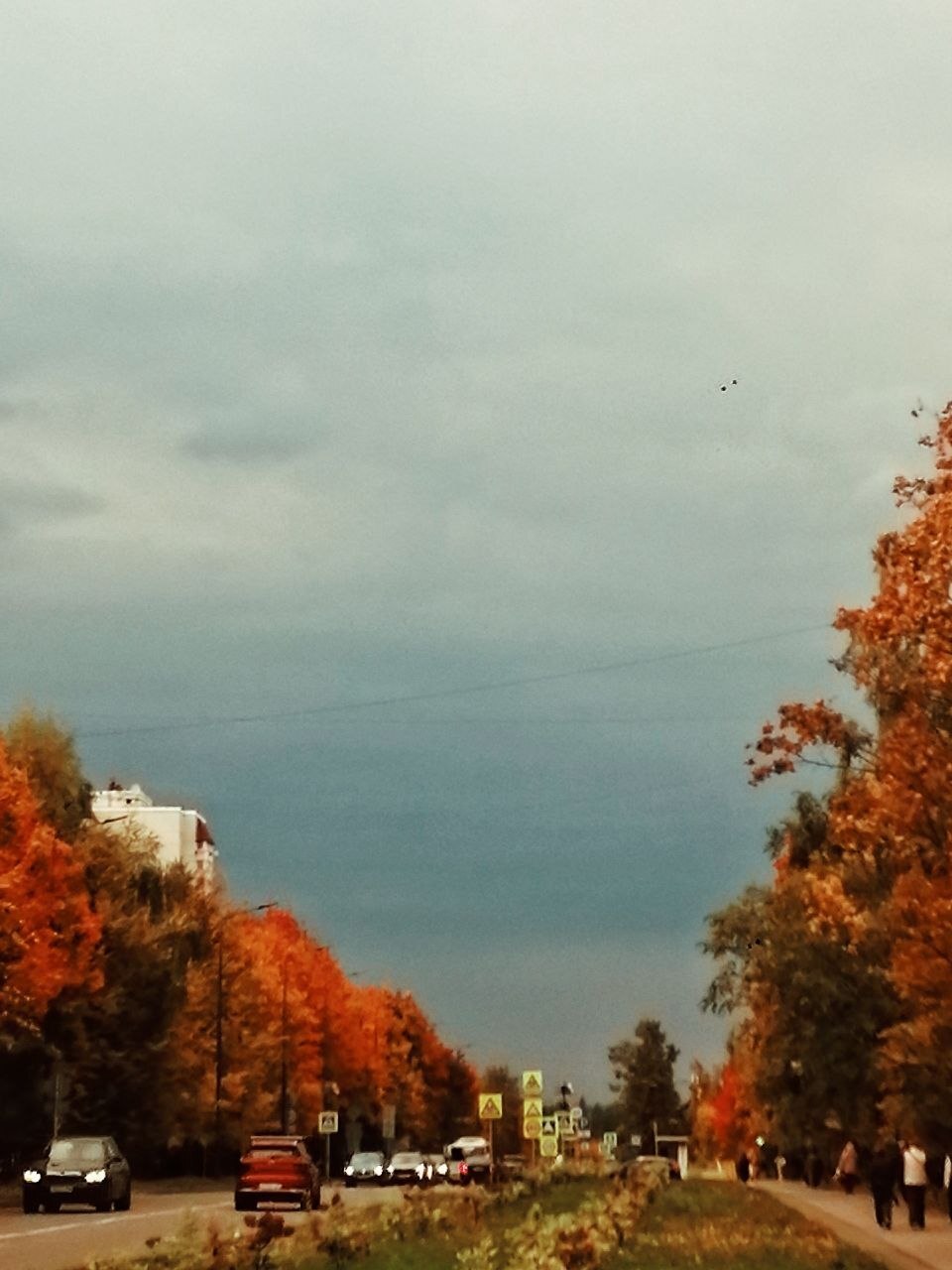 Осень — Краснознаменск