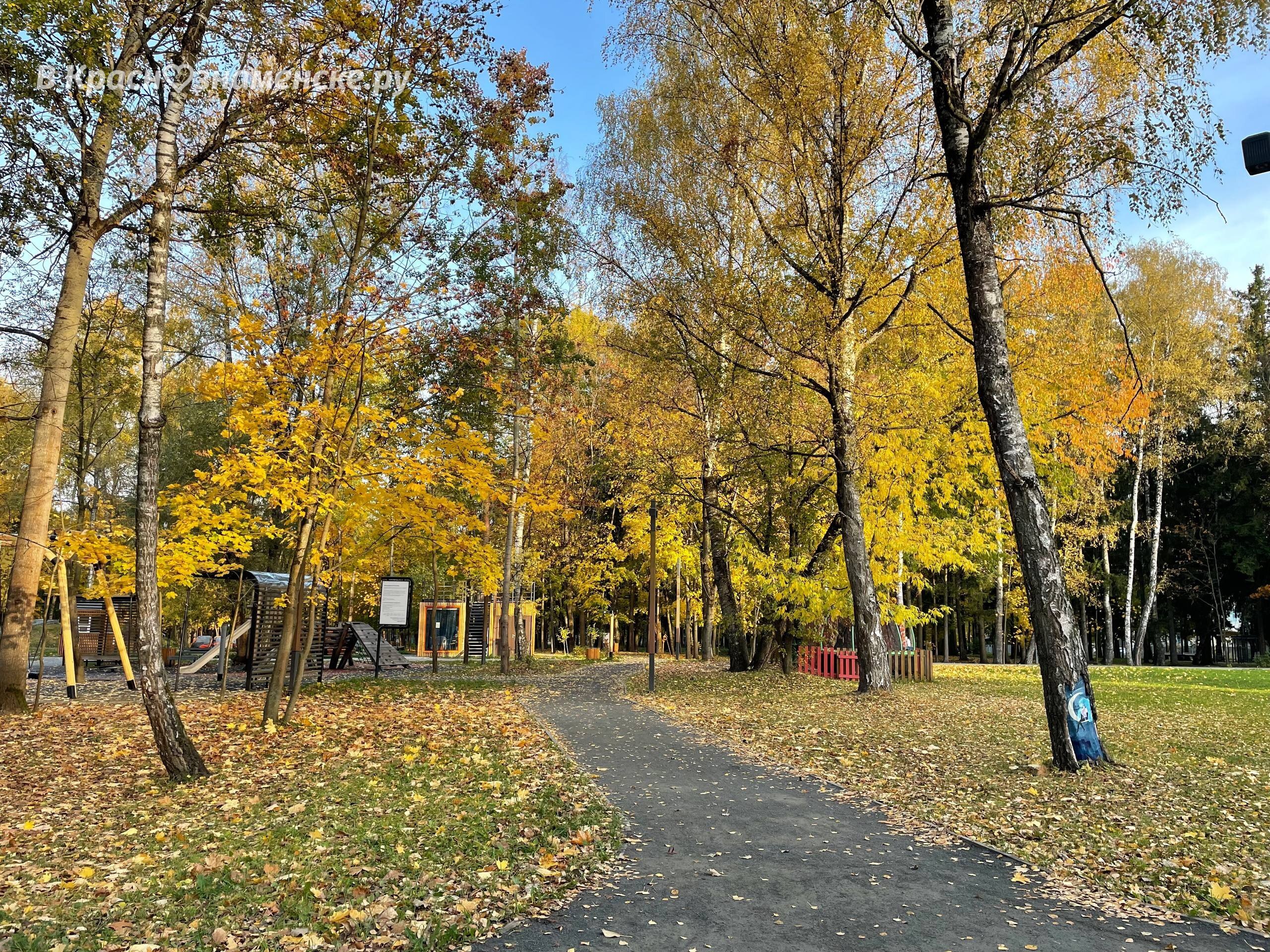 Прогулка по Беличьему парку — Краснознаменск