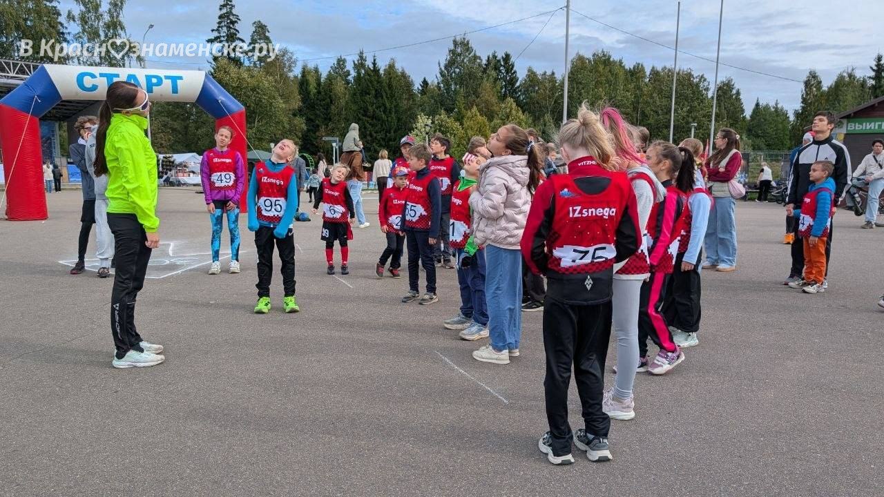 Разминка перед забегом — Краснознаменск