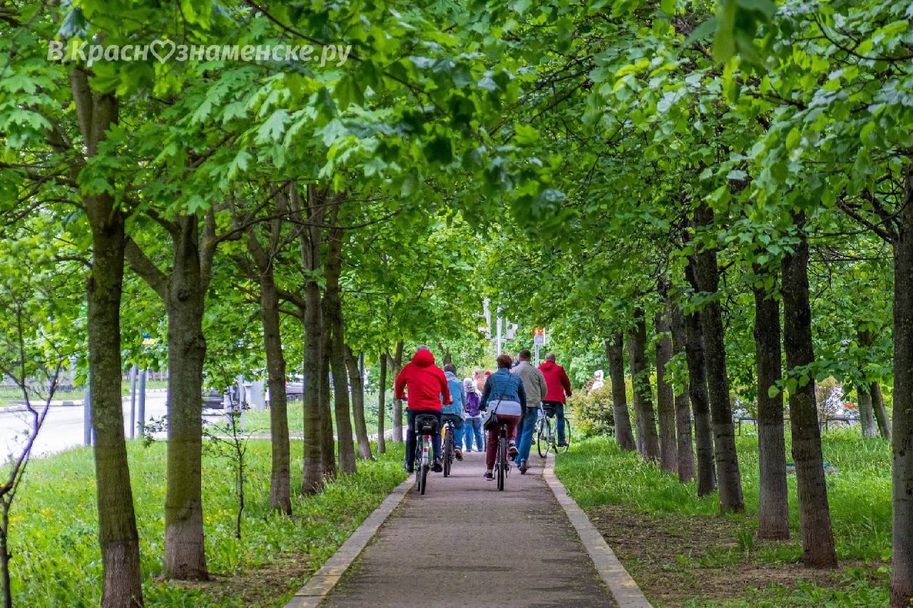 Как вам состояние велодорожек по городу?