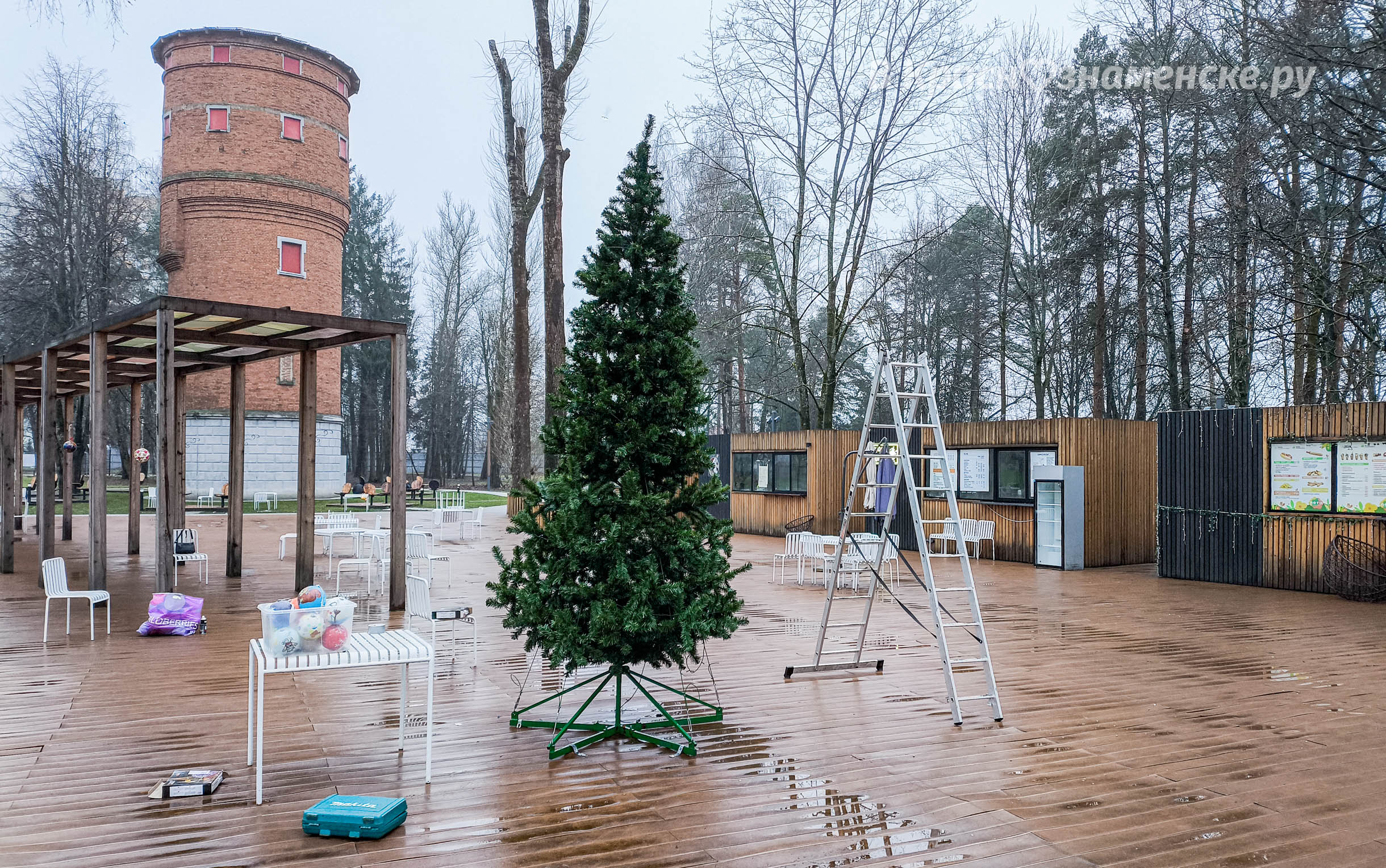 В городских парках уже тоже полным ходом идёт установка ёлочек