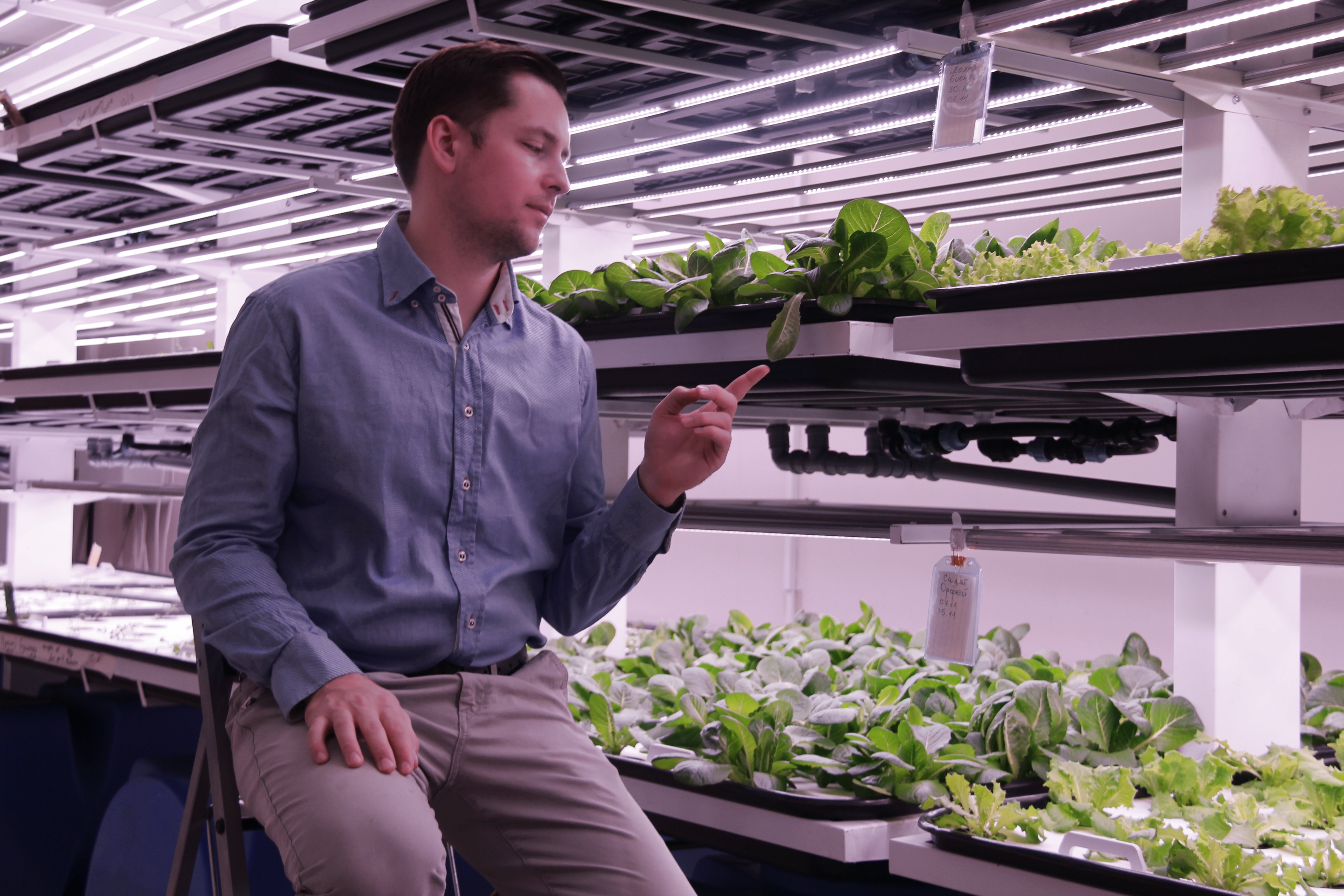 Стартап вертикальные фермы. Стартап ферма. Стартап ферма. Стартапы для агро. Ферма в стиле uber.