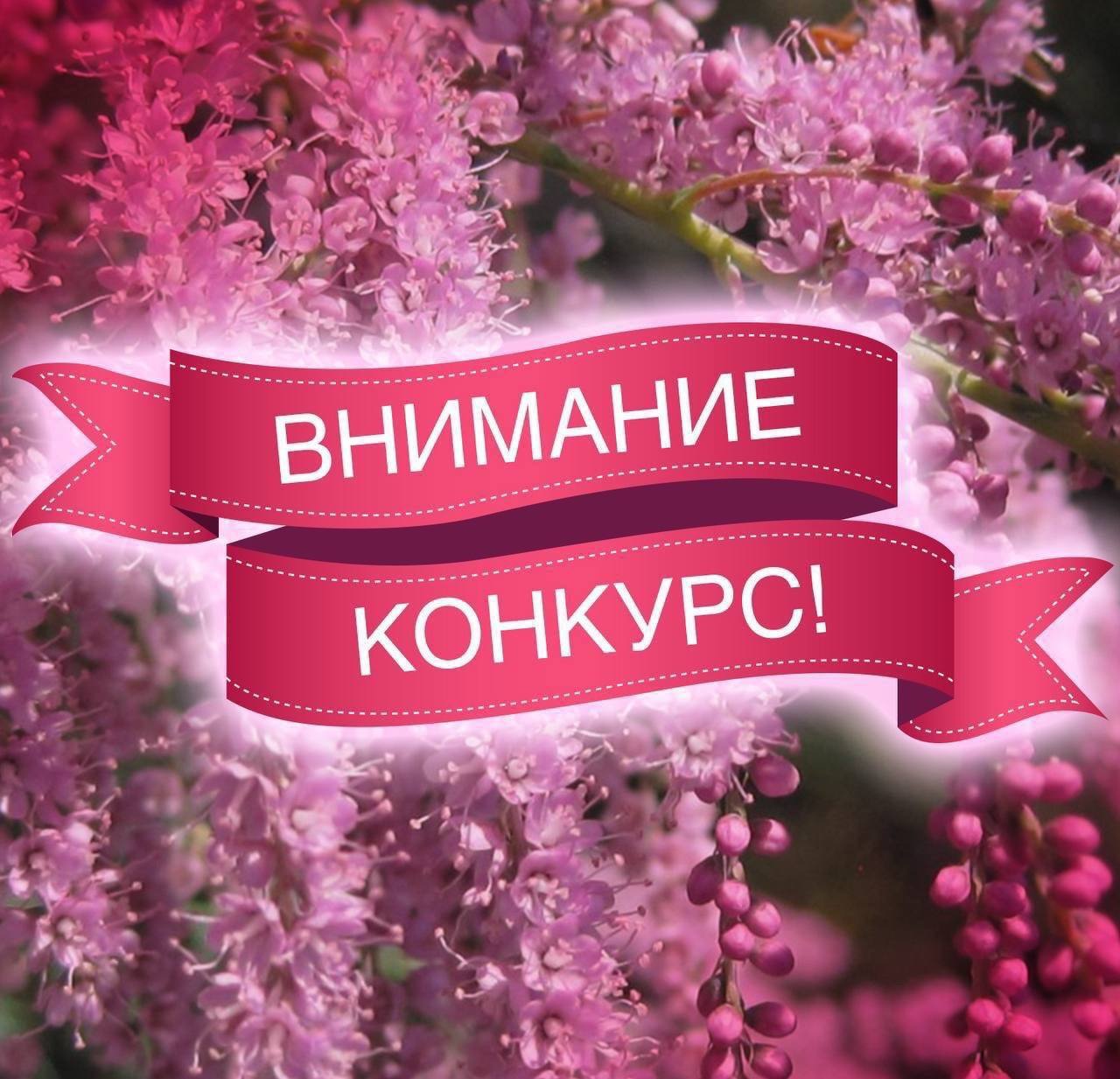 По указанию главы Краснознаменска Игоря Головатика в 2026 году запланировано проведение конкурса «Лучший палисадник»
