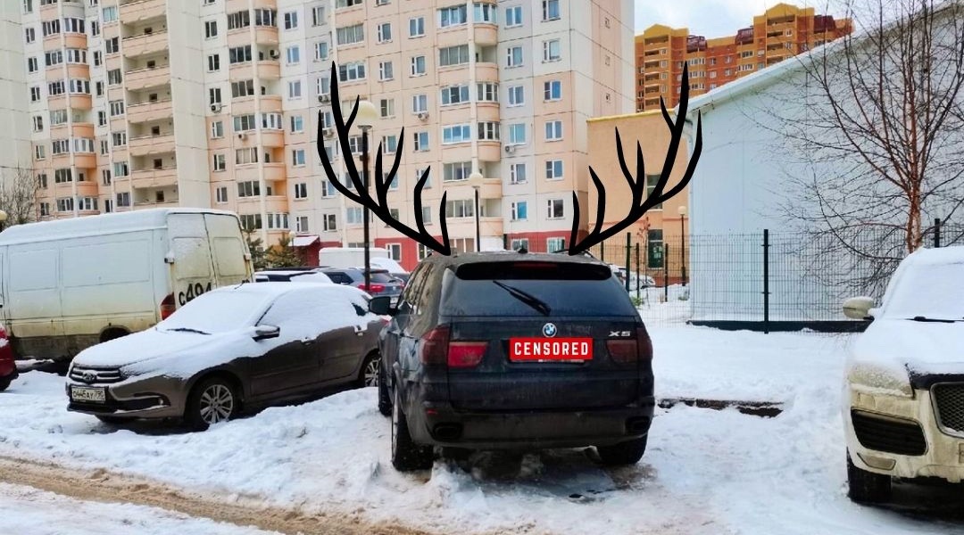 Я паркуюсь, как хочу — Краснознаменск