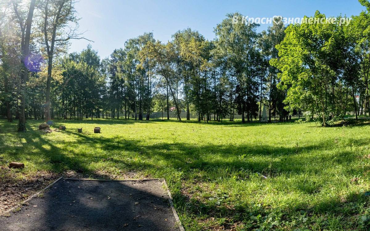 Лужайка в Беличьем парке