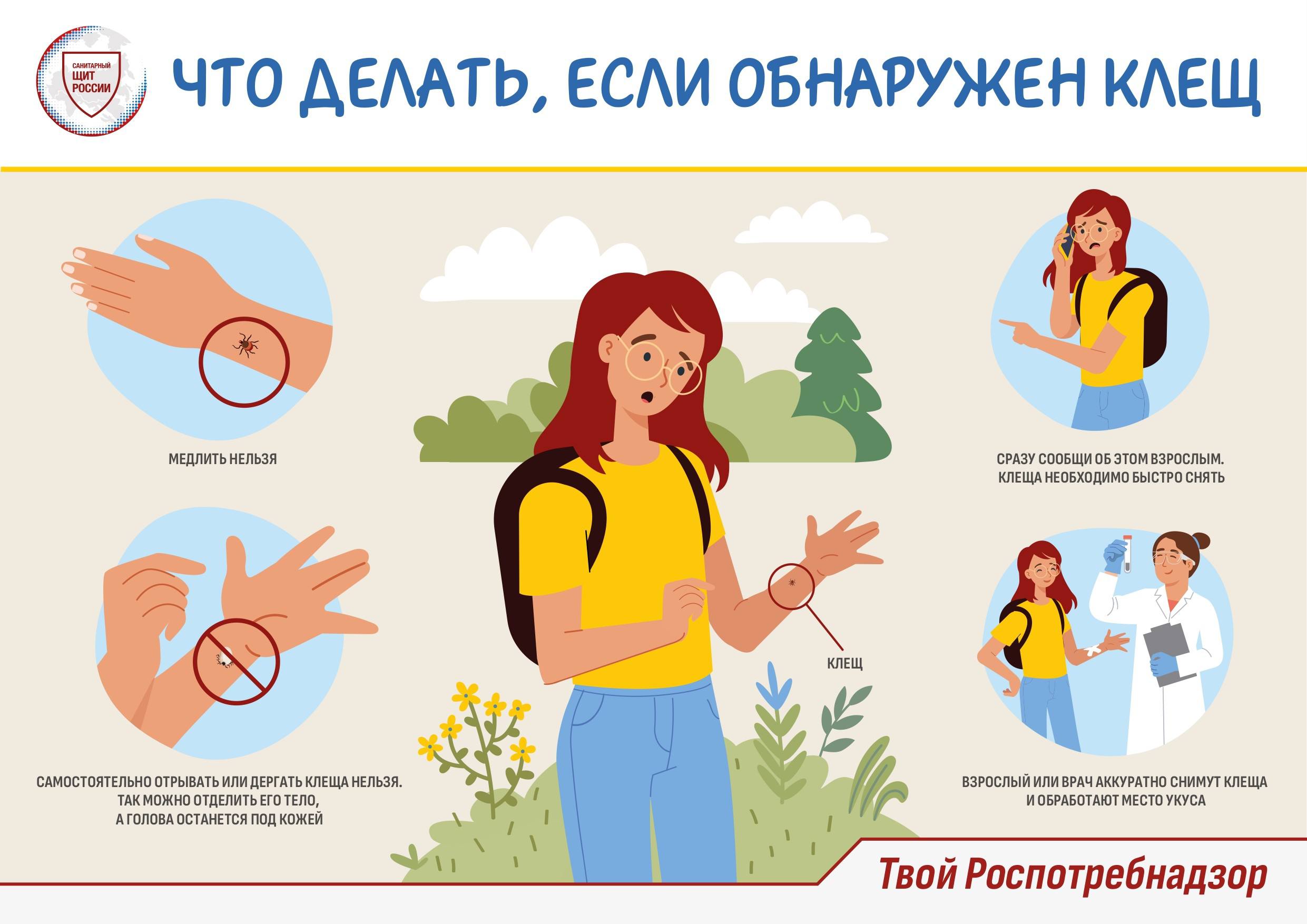 Несколько важных правил, которые помогут правильно действовать при обнаружении укуса