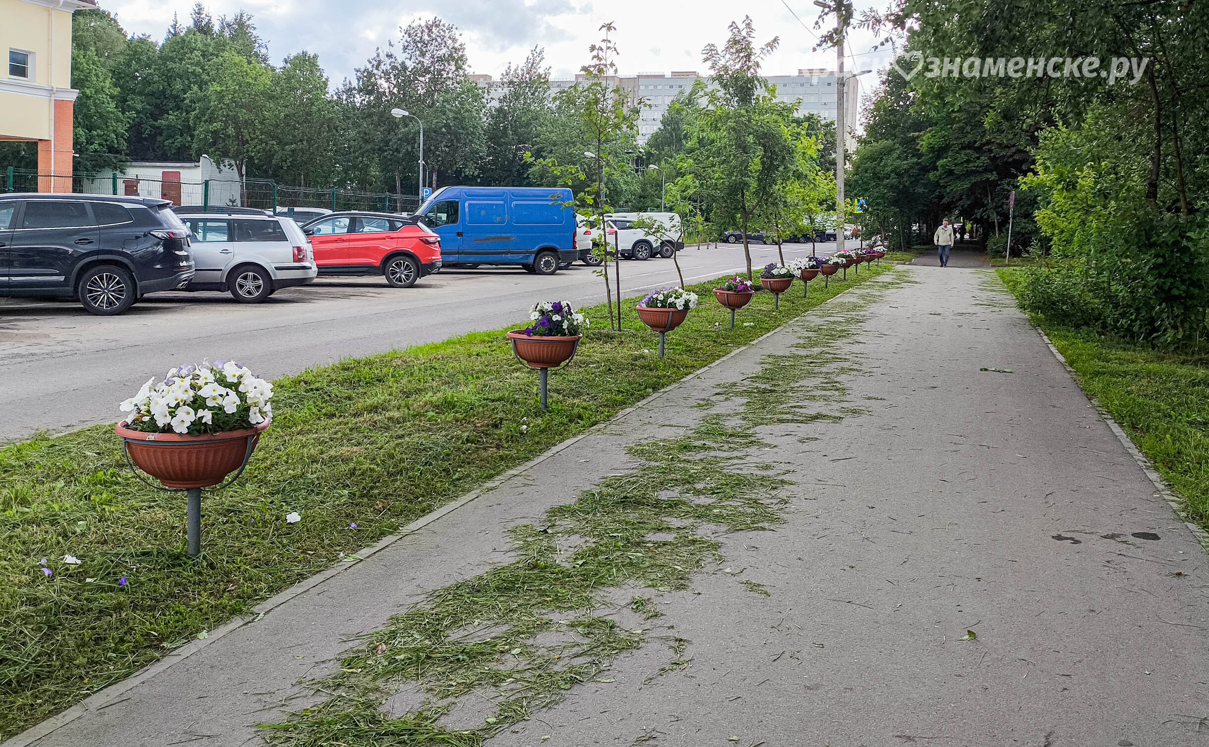 Вот такие кашпо с цветами появились в разных местах города