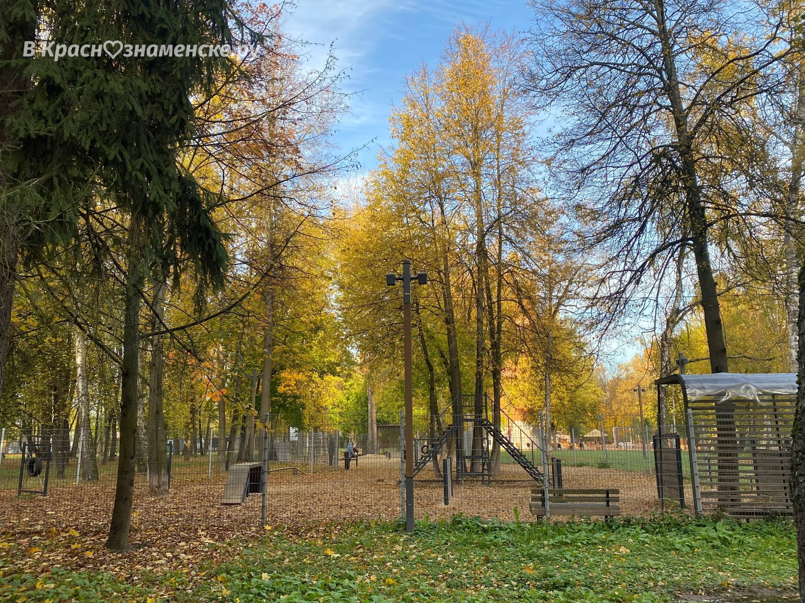 Прогулка по Беличьему парку — Краснознаменск