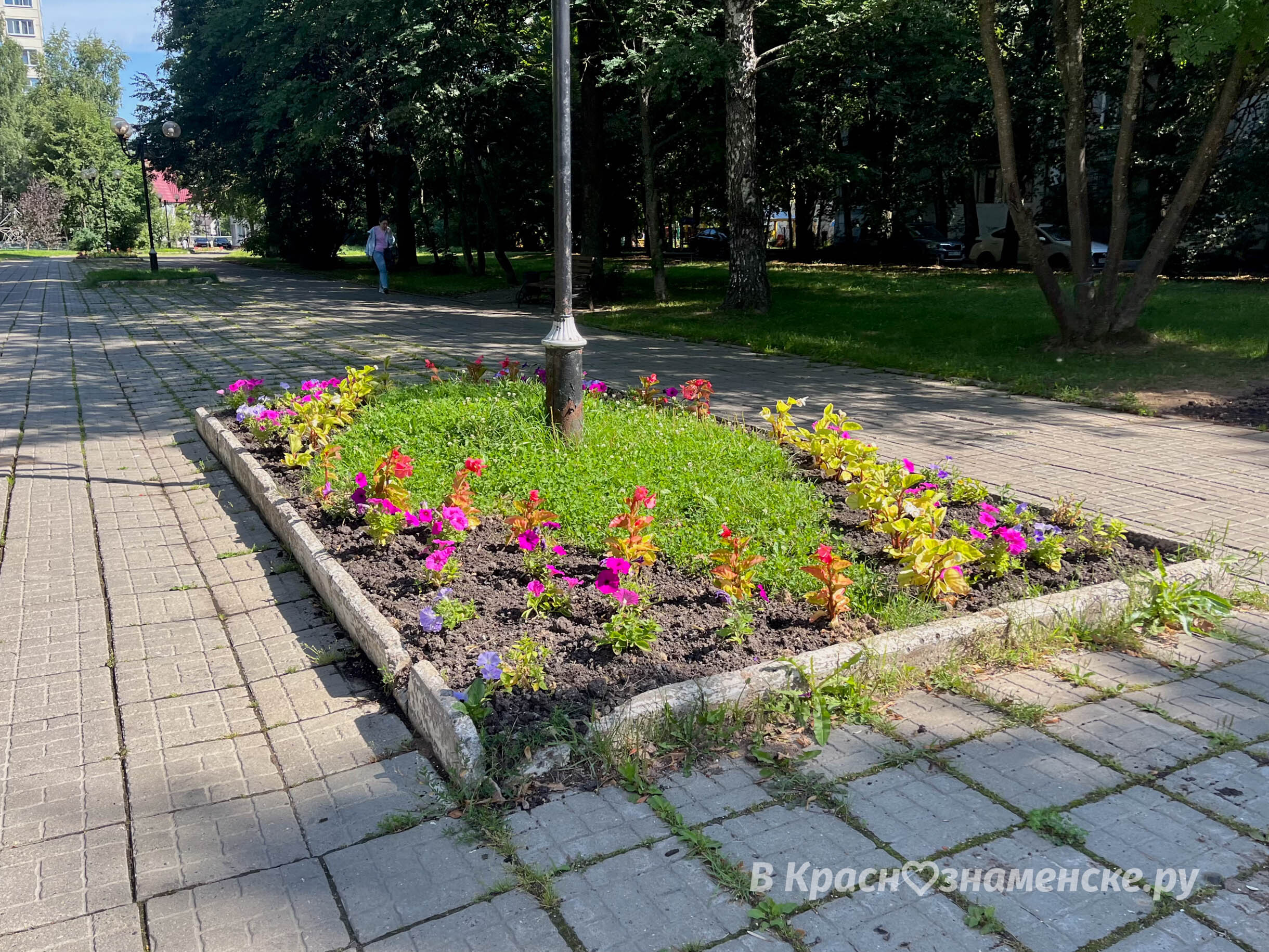 На Комсомольском бульваре высадили цветы, однако, унылый и потрёпанный вид бульвара все портит