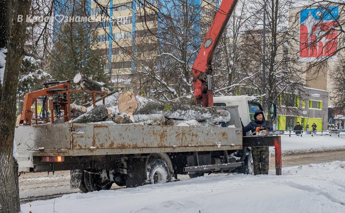Кажется, не зря у нас вырубают сухие деревья — ни одно из них еще не упало при таком ветре, в отличие от Москвы