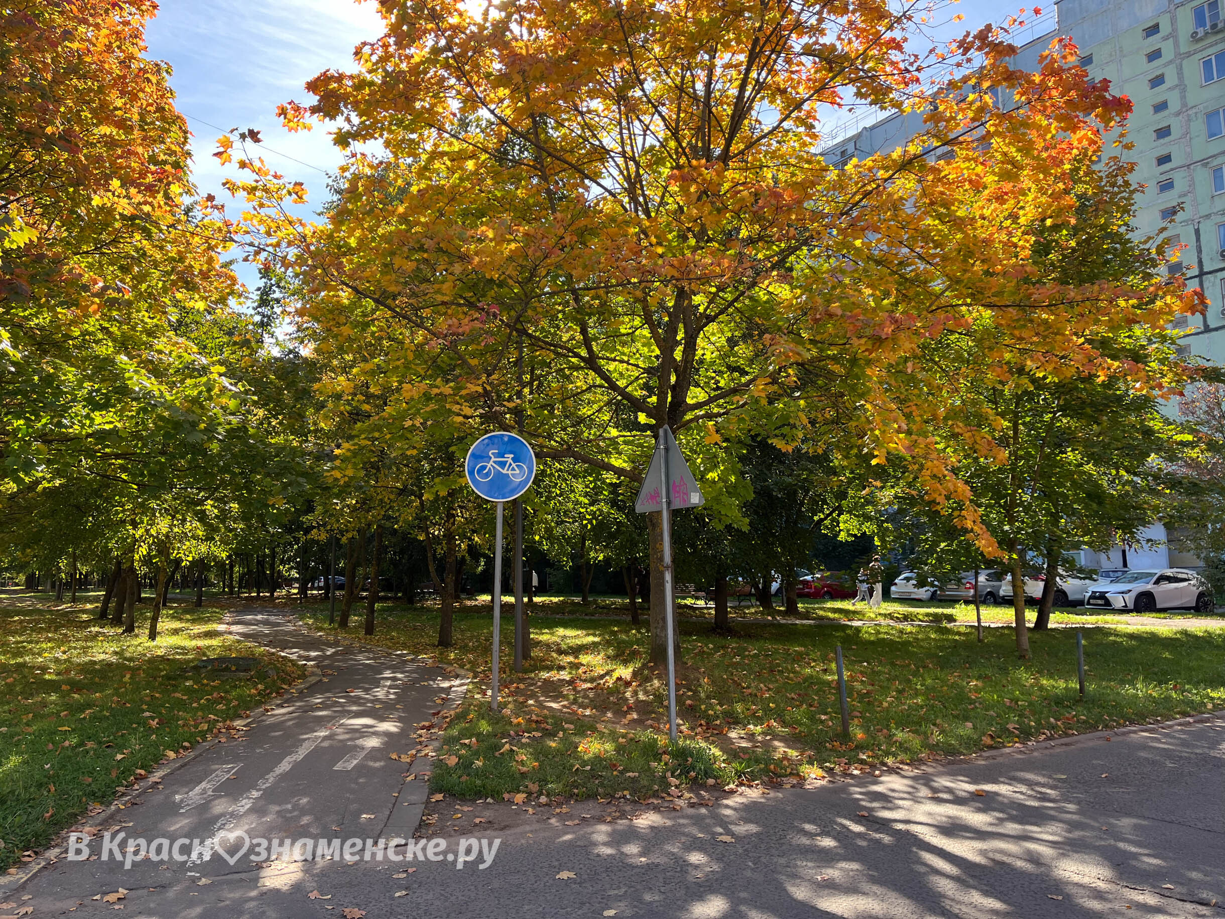 Прогулка по осенним улицам города — Краснознаменск