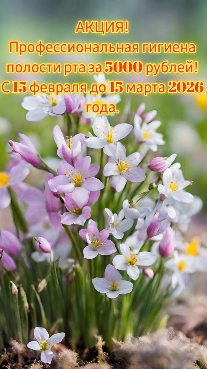 Акция на проф гигиену в стоматологической клинике Жемчужина плюс