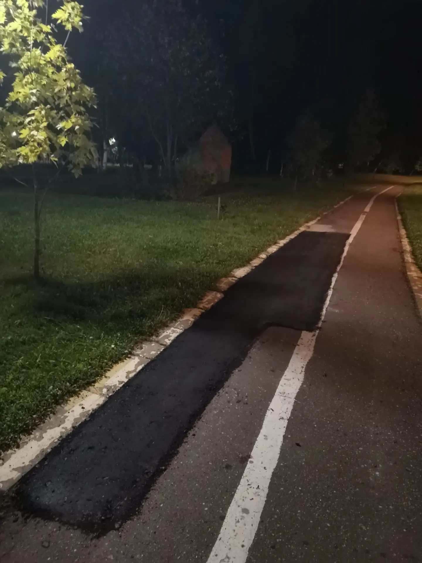 Ремонт велодорожек в парке — Краснознаменск