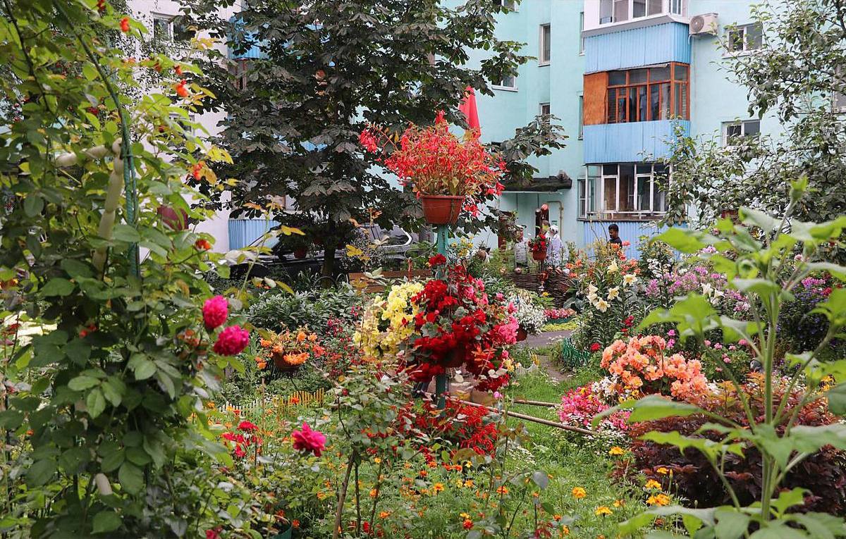 В ближайшее время город оживет яркими красками цветов, украшающих городские клумбы