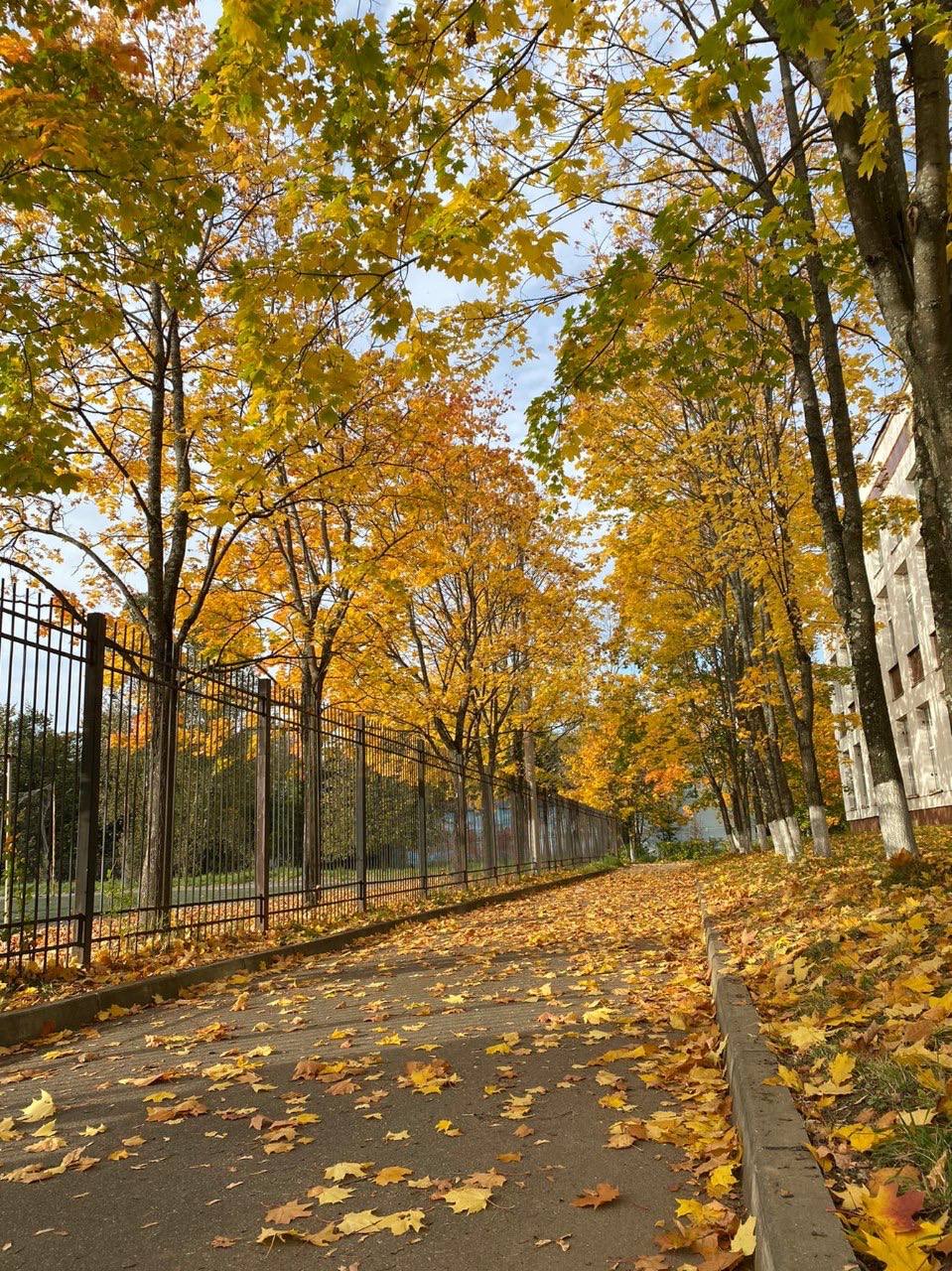 Осенние краски города — Краснознаменск
