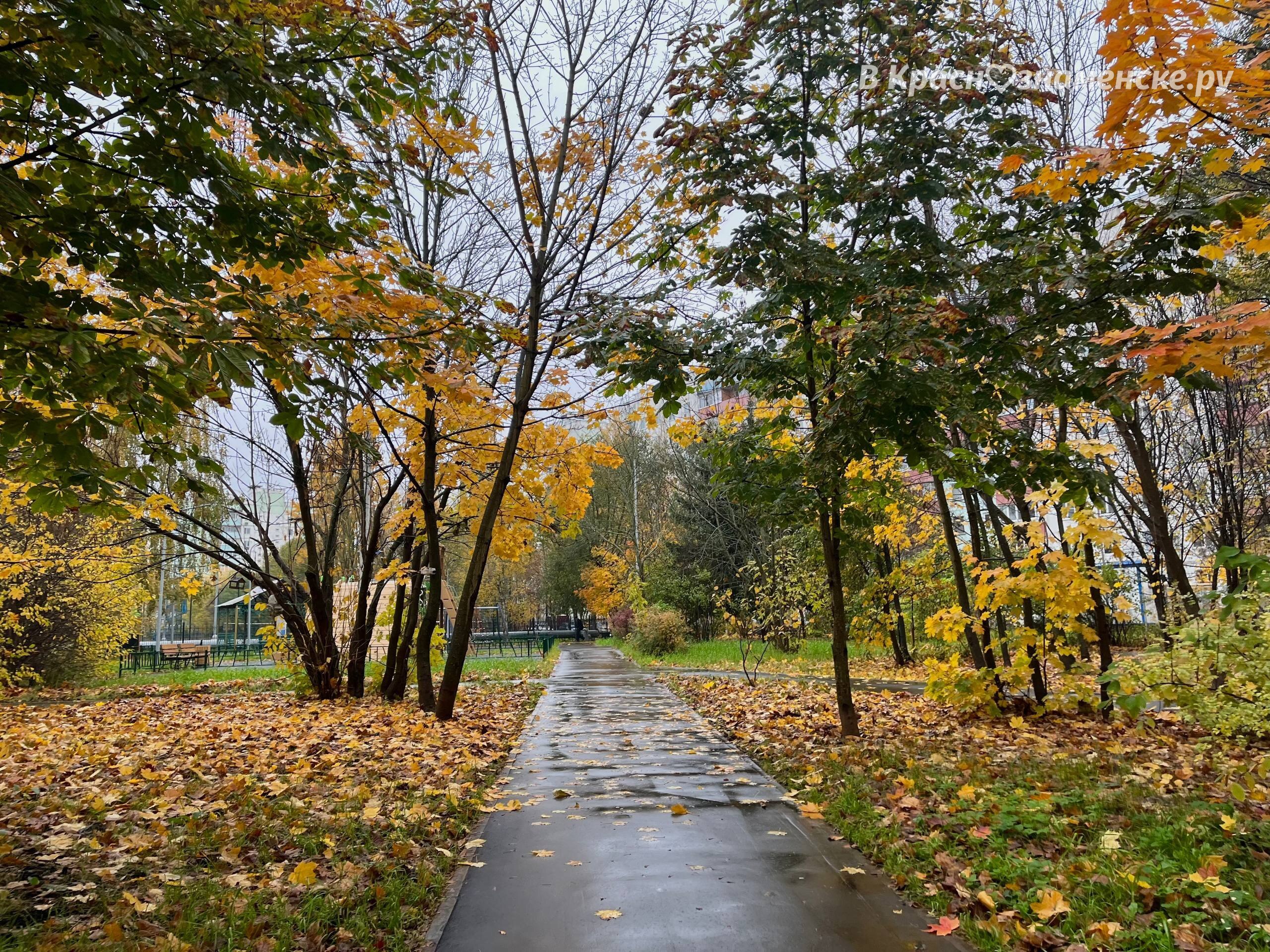Прогулка по пасмурным улицам города — Краснознаменск