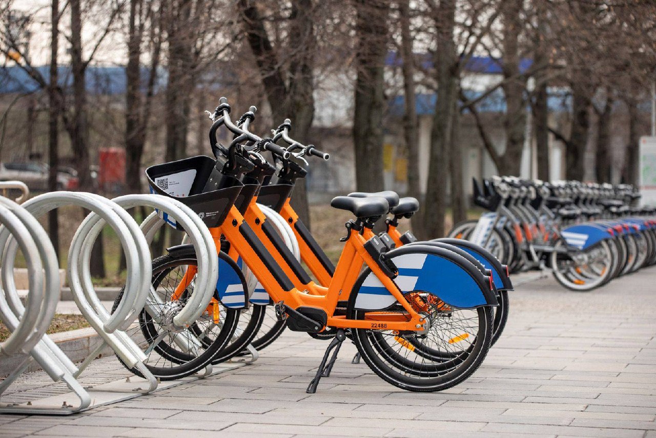 Что думаете насчет аренды велосипедов в городе?