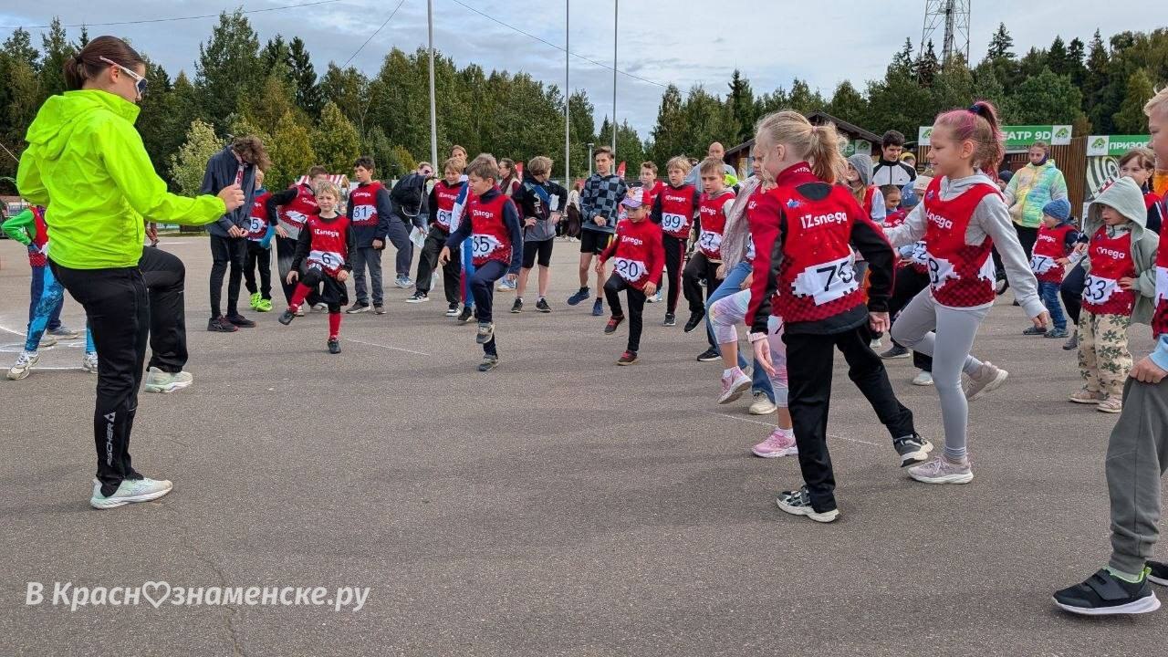 Разминка перед забегом — Краснознаменск
