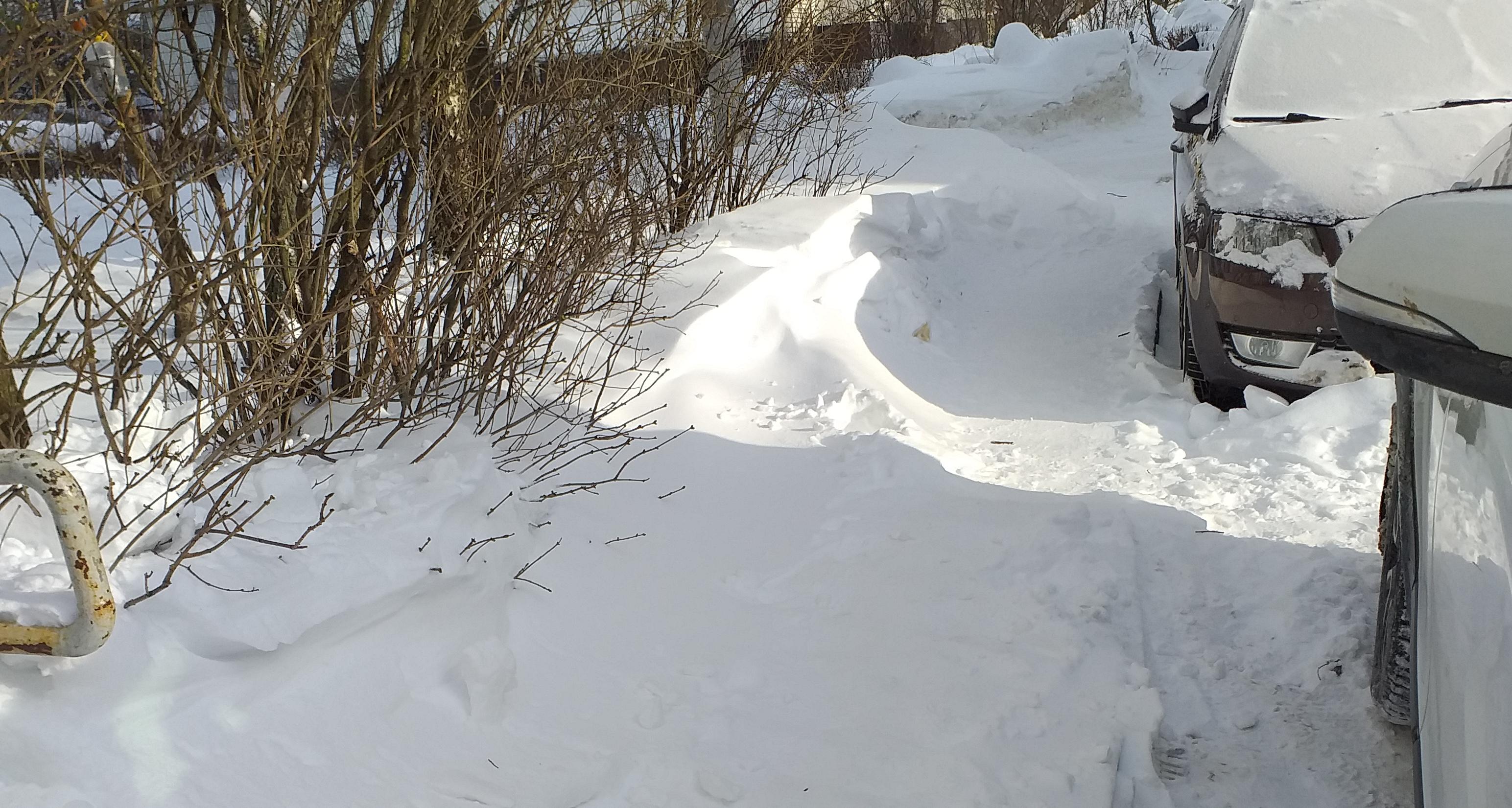 Гагарина 9а дворник не чистит пешеходные дорожки