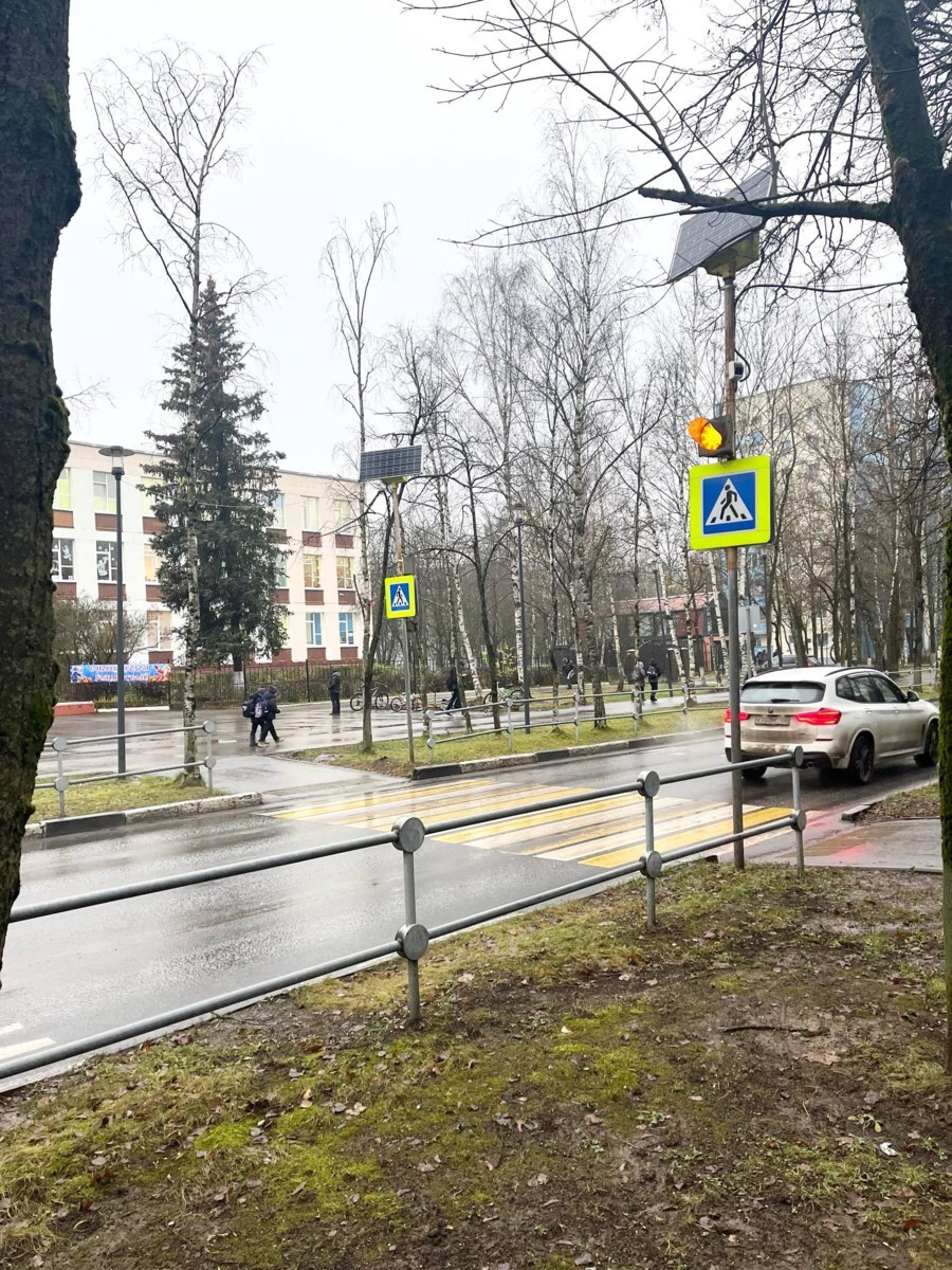 Как вы считаете, стоит ли в городе установить светофор с кнопкой возле Гимназии №1?