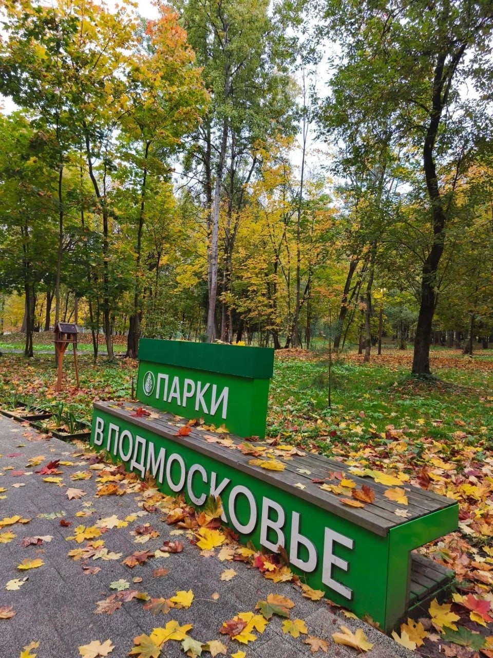 Прозрачен мир литого октября