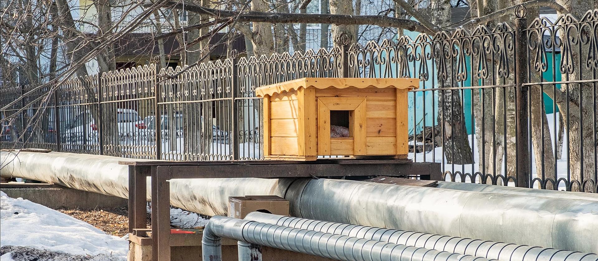 Спасибо неравнодушным жителям нашего города 