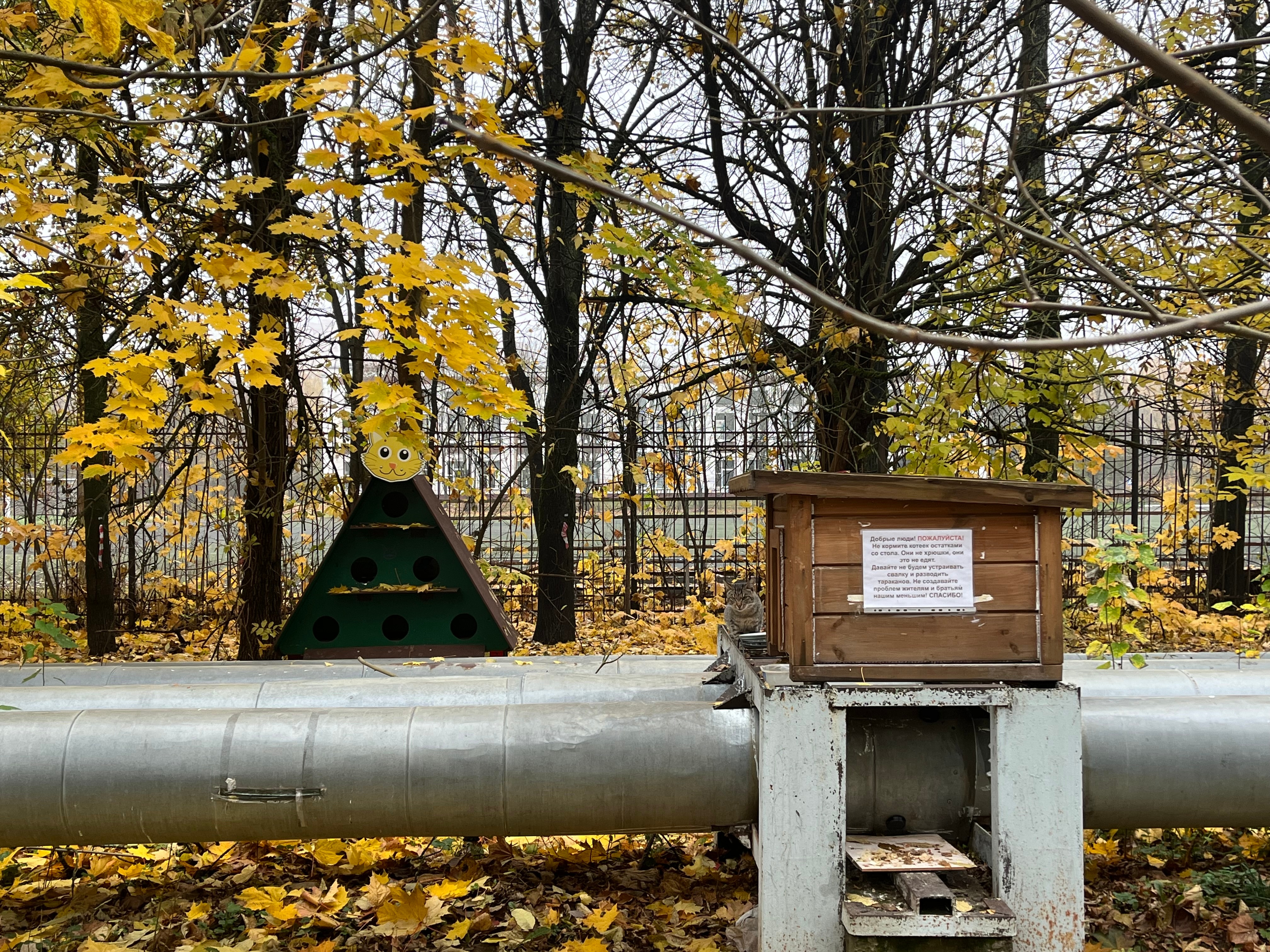 Домик для кошек теперь расположен рядом с трубами