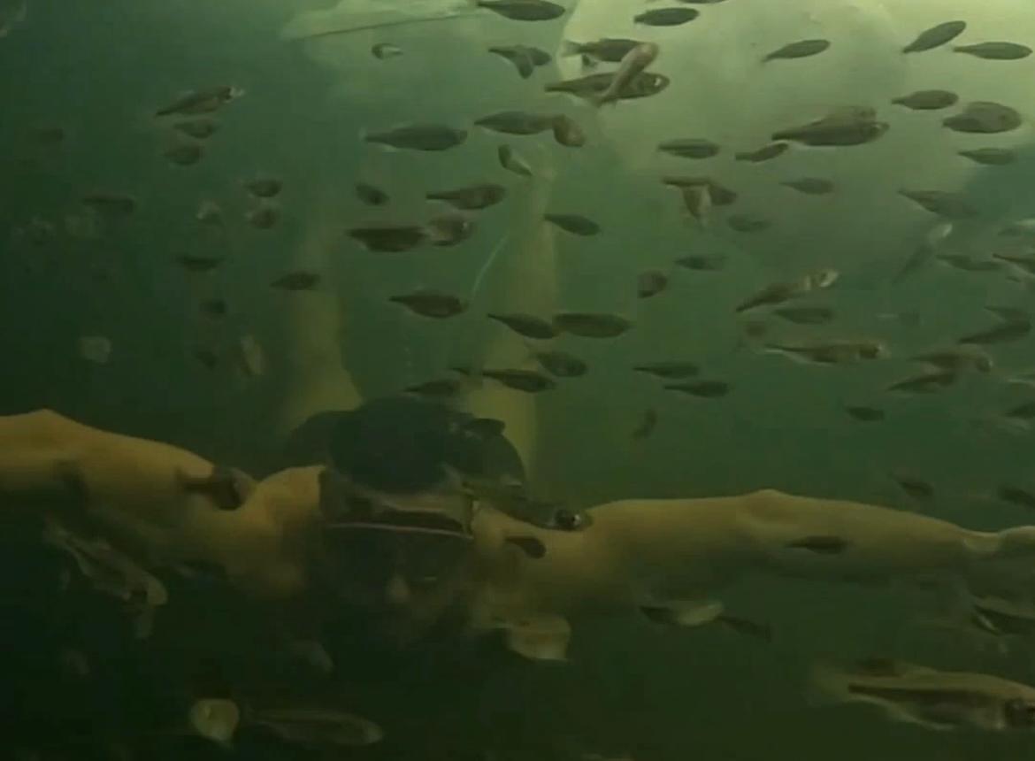 Зимний фридайвинг в Городском парке от «Космических моржей»