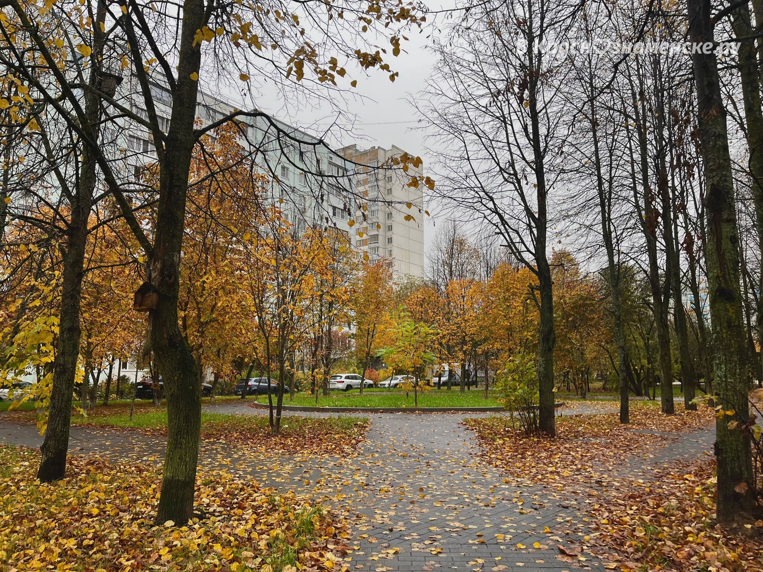Прогулка по пасмурным улицам города — Краснознаменск