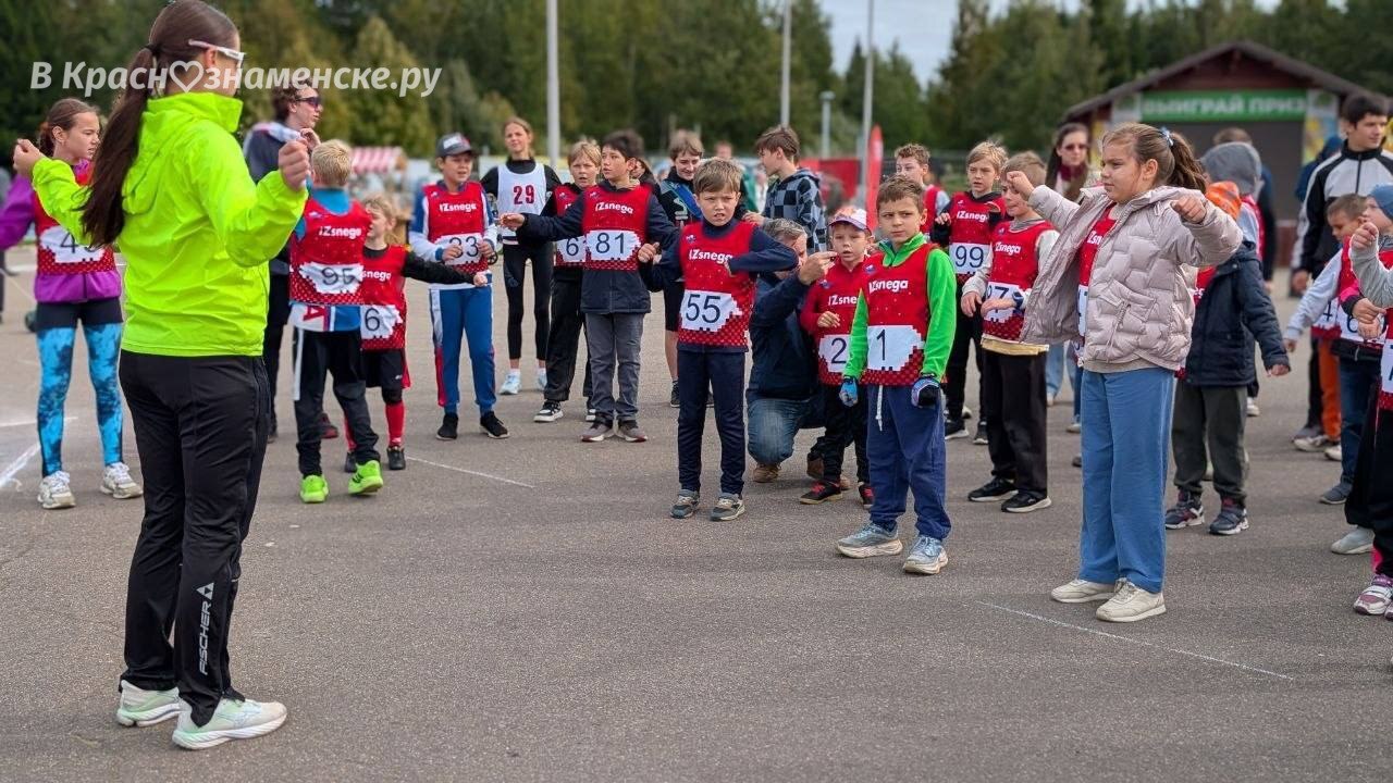 Разминка перед забегом — Краснознаменск