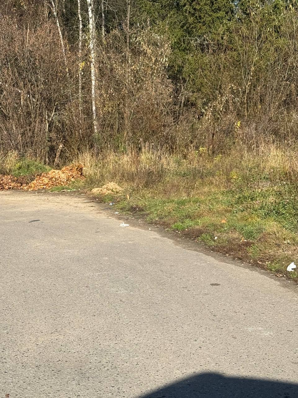 Закат над новым озером — Краснознаменск