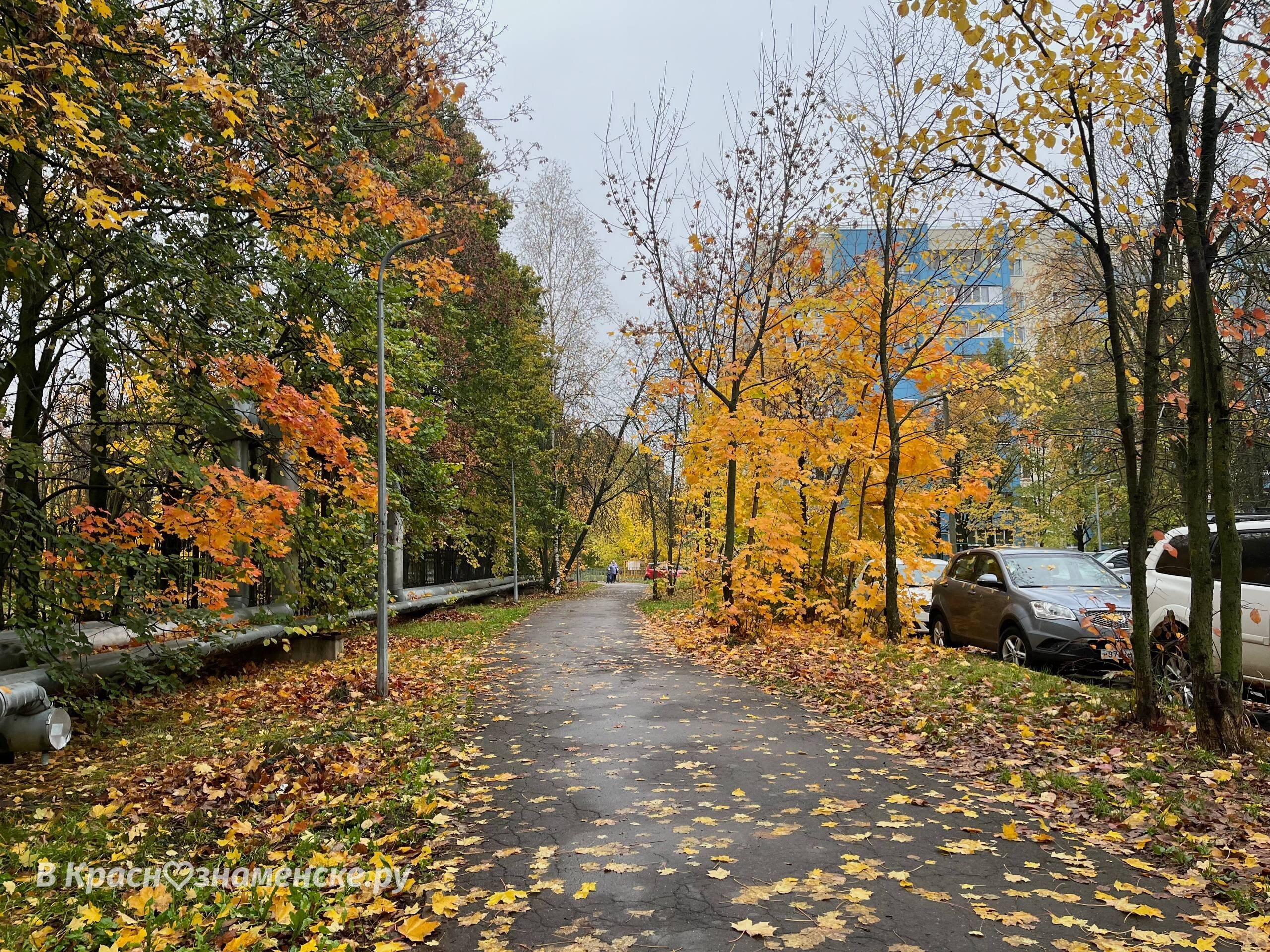 Прогулка по пасмурным улицам города — Краснознаменск