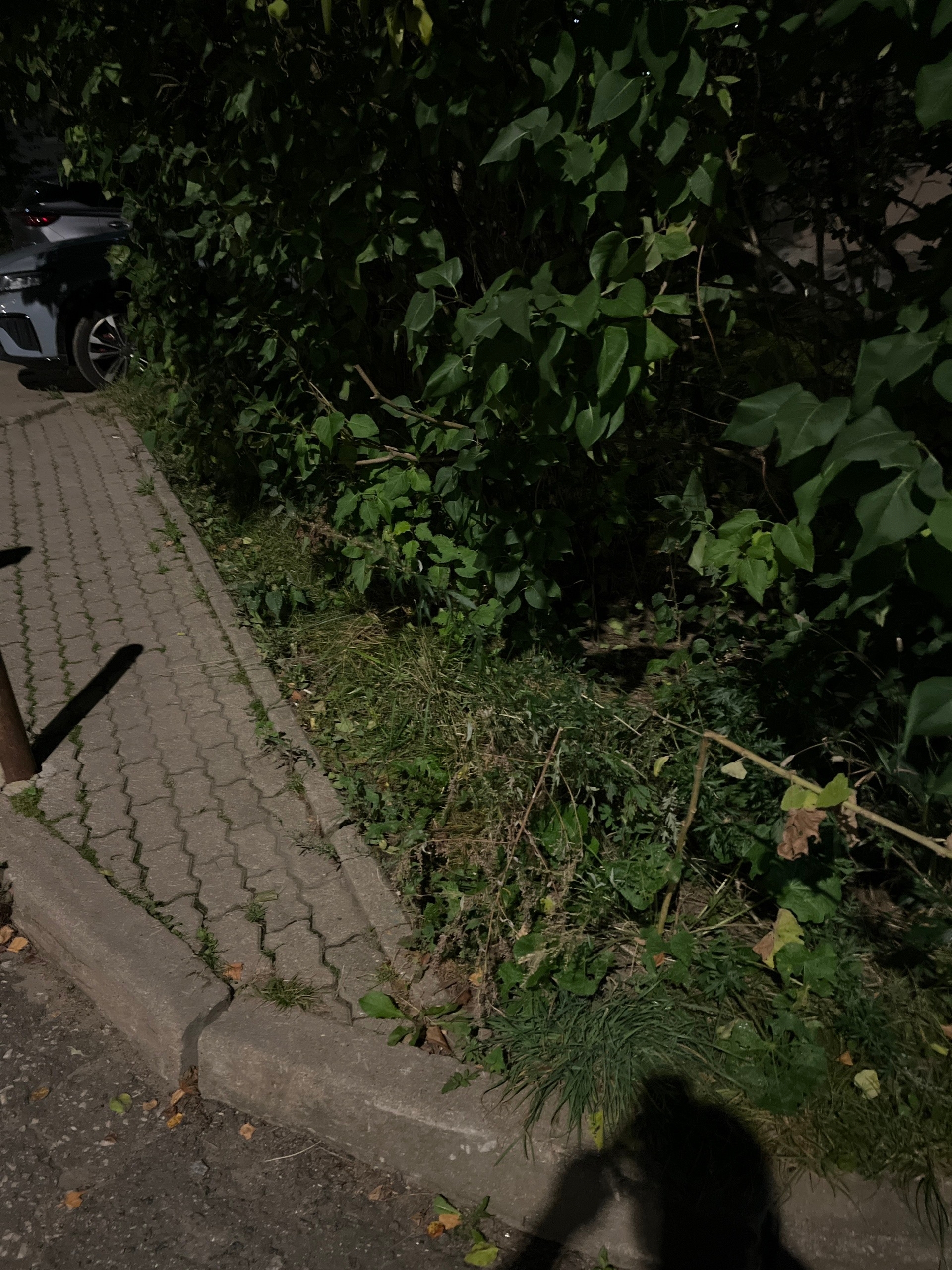 Почему вдоль дома по улице Гагарина 5 срезали металлические заборы?