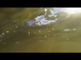 На новом озере Краснознаменска