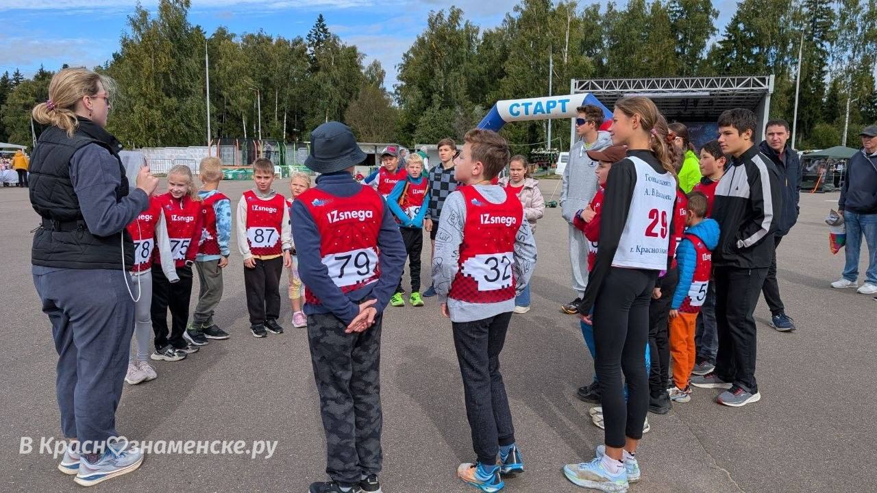 В Городском парке началась подготовка к Забегу здоровья — Краснознаменск