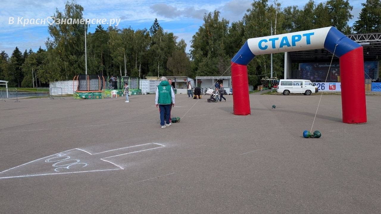 В Городском парке началась подготовка к Забегу здоровья — Краснознаменск