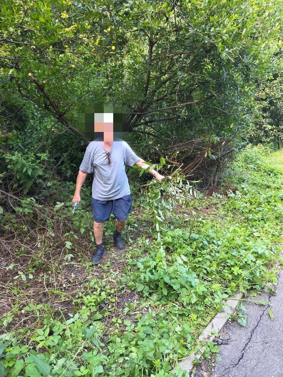 Вот этот деятель ежедневно орудует пилой в парке у озера