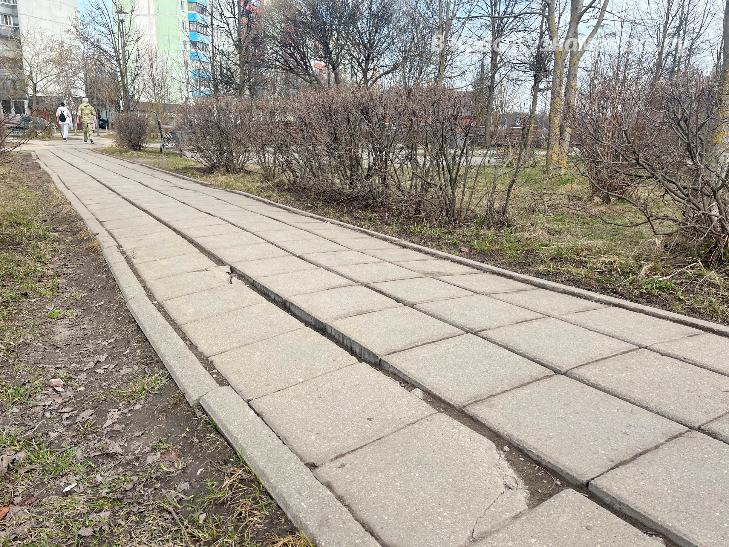 Предложения жителей по улучшению города