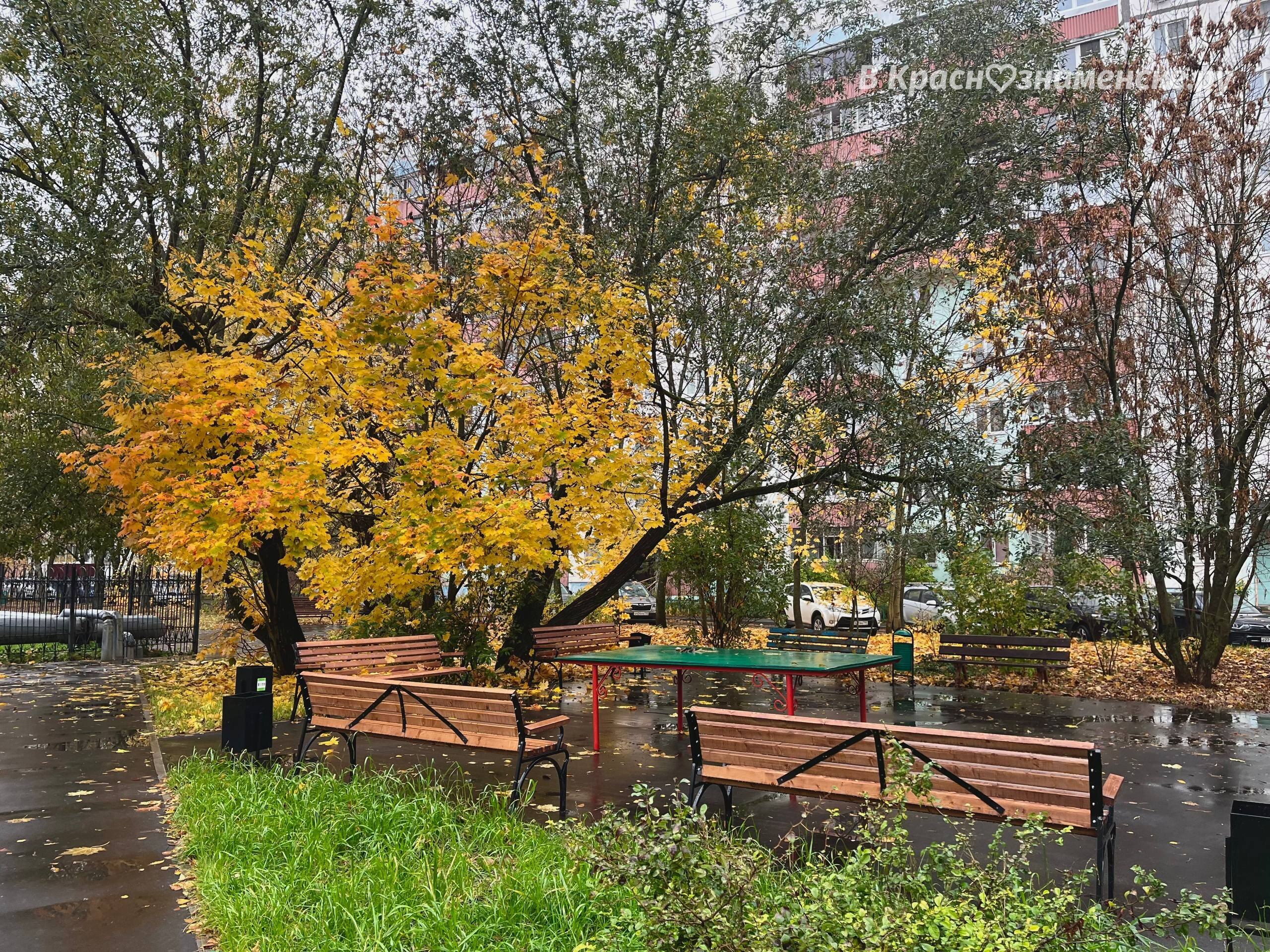 Прогулка по пасмурным улицам города — Краснознаменск